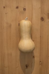 Courge butternut